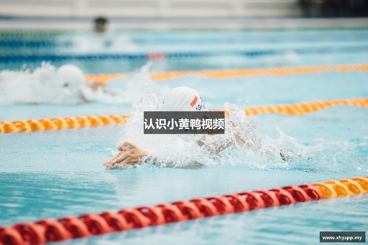 认识小黄鸭视频